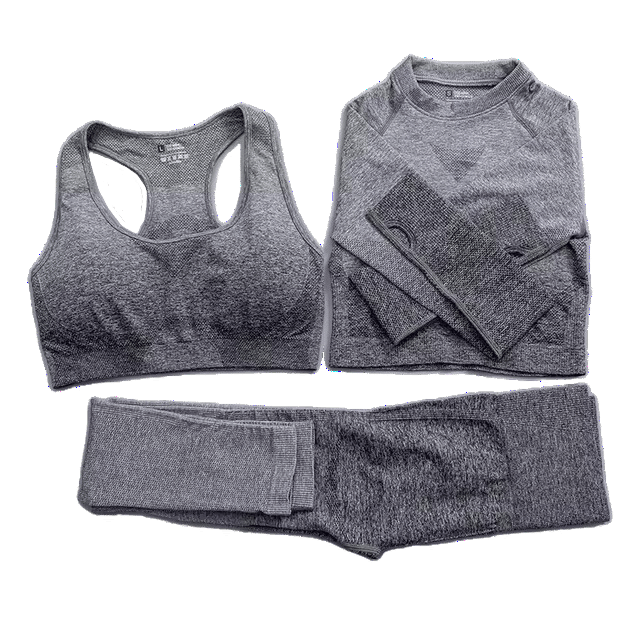 Seamless Ombre Complete Gym Set